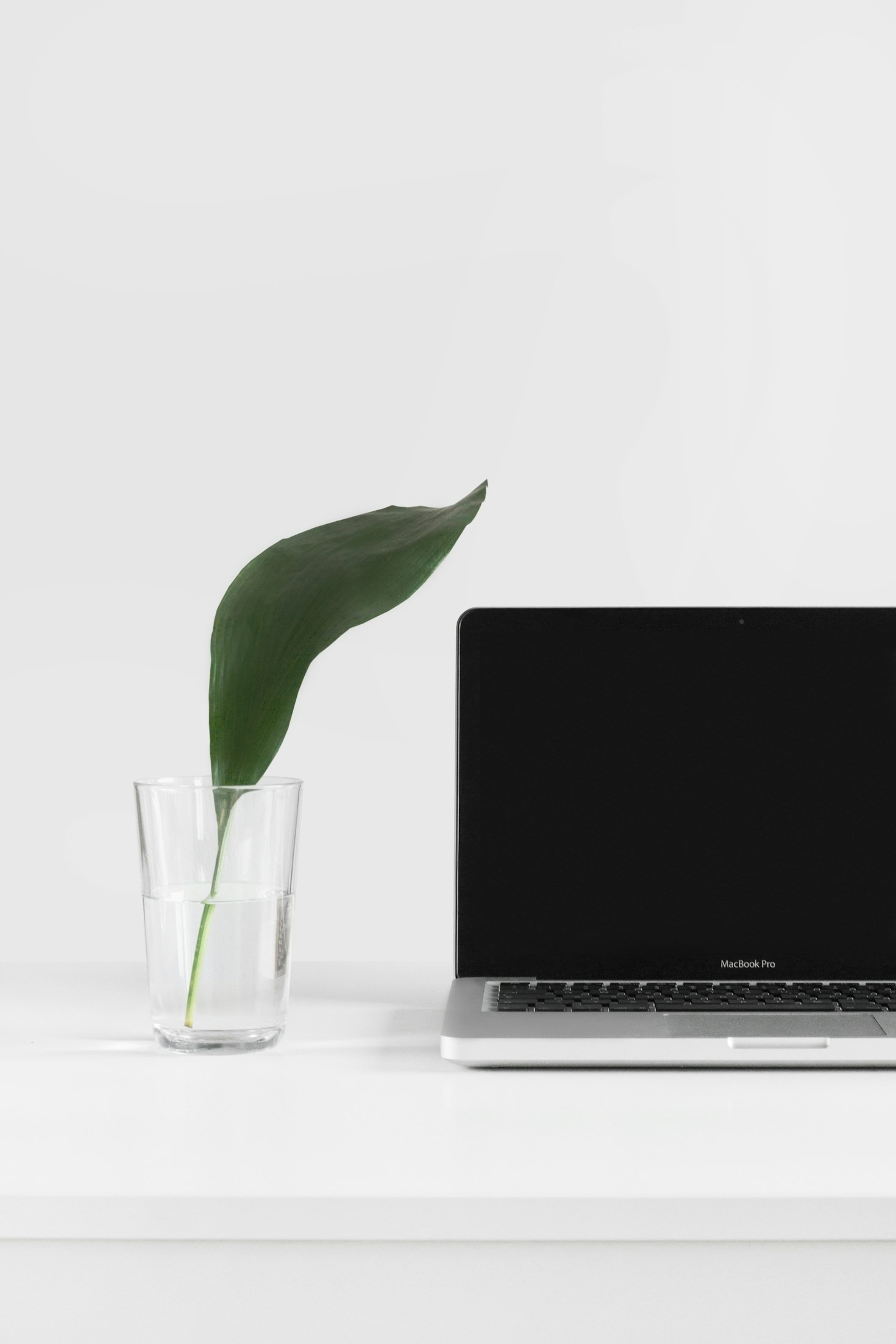 Why Personalized Support Matters in Tech Solutions